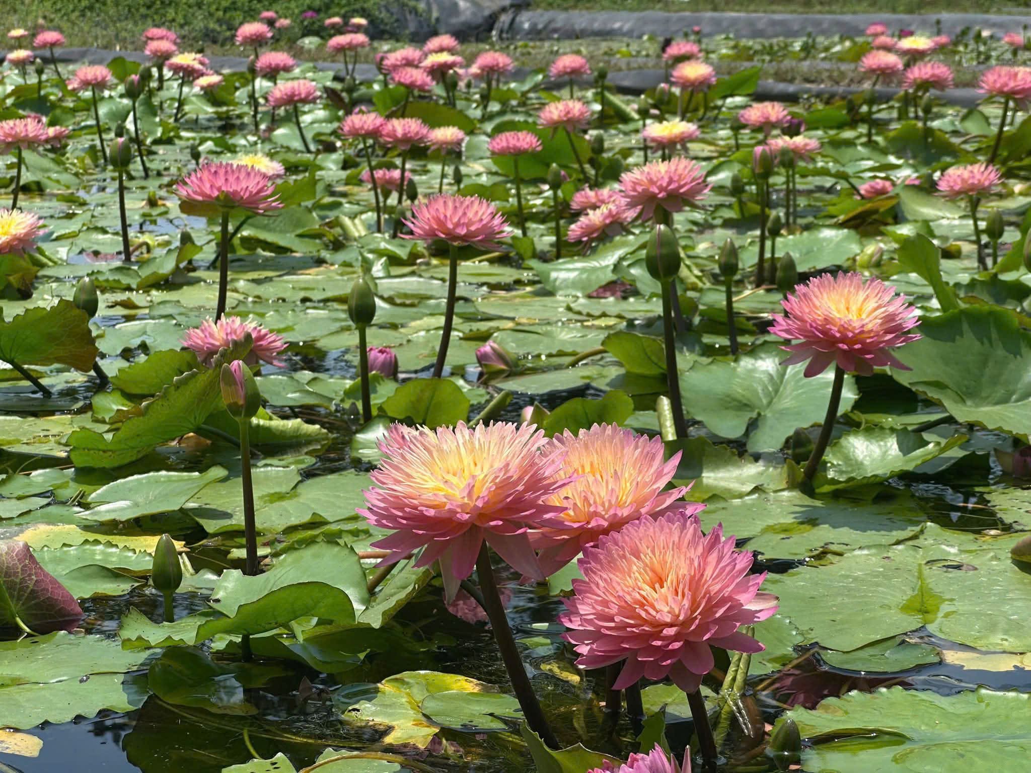 z7328076200456_c8cfc08b6b3f41f72a7bf70ca7627680