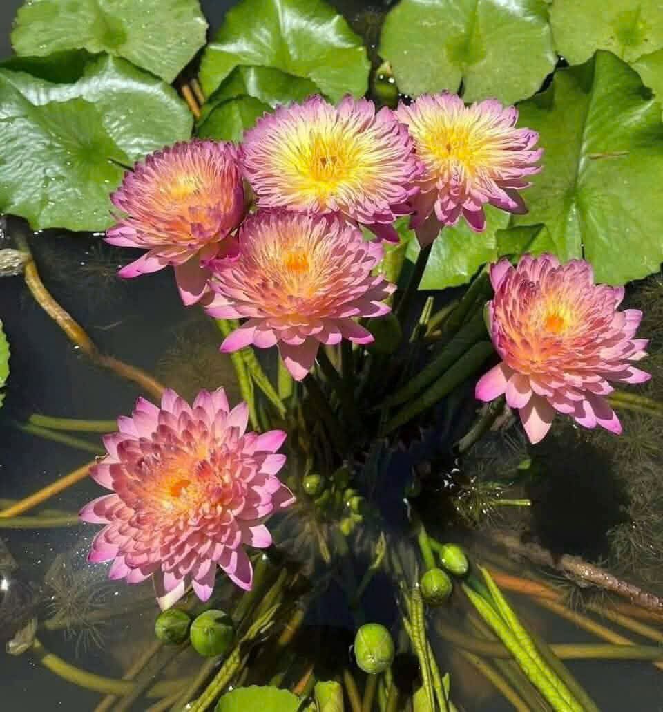 z7328076208029_bad6e40ca06f3ed9cef3ebfb558ad7a6